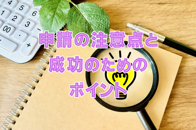 申請の注意点と成功のためのポイント